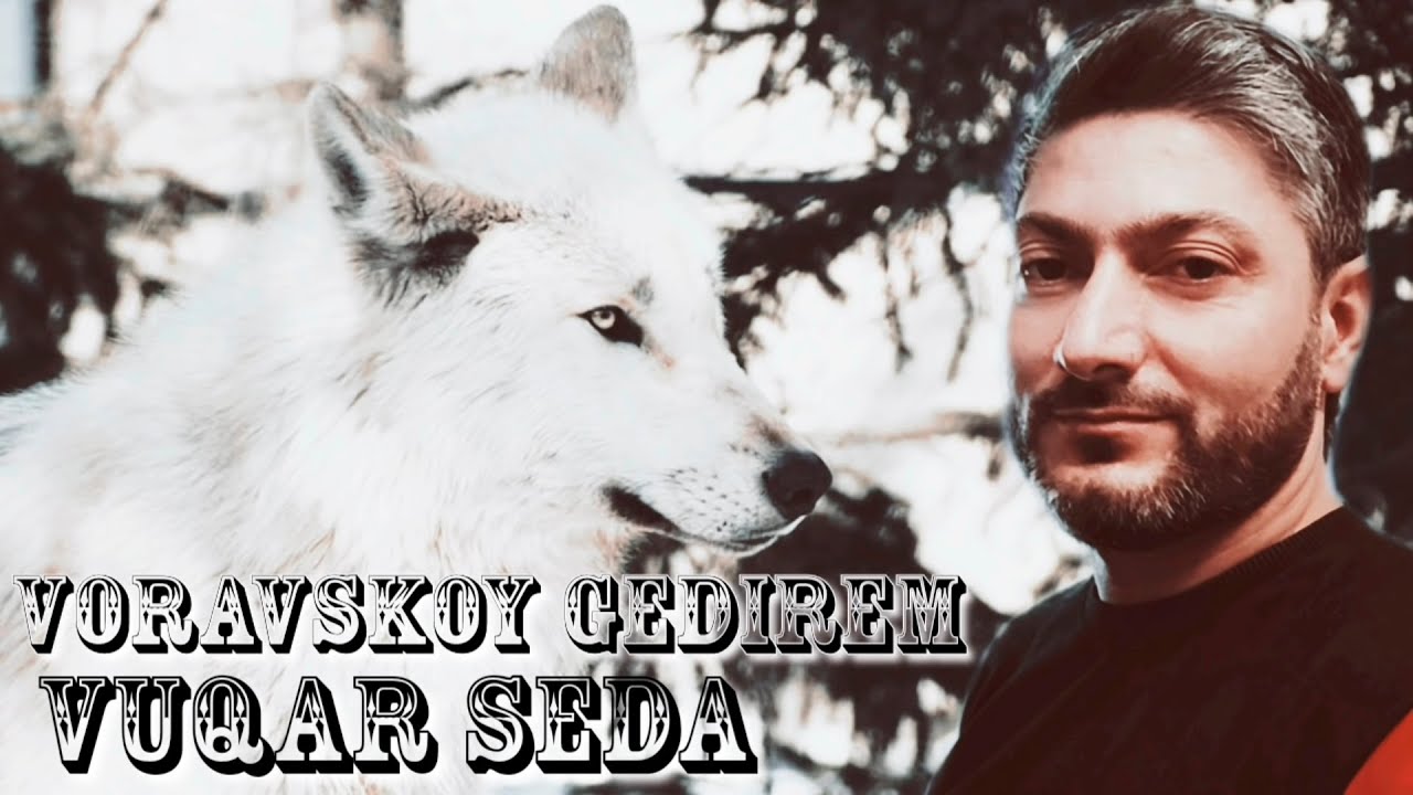 Vuqar Seda - Voravskoy Gedirem (Official Audio) 2021